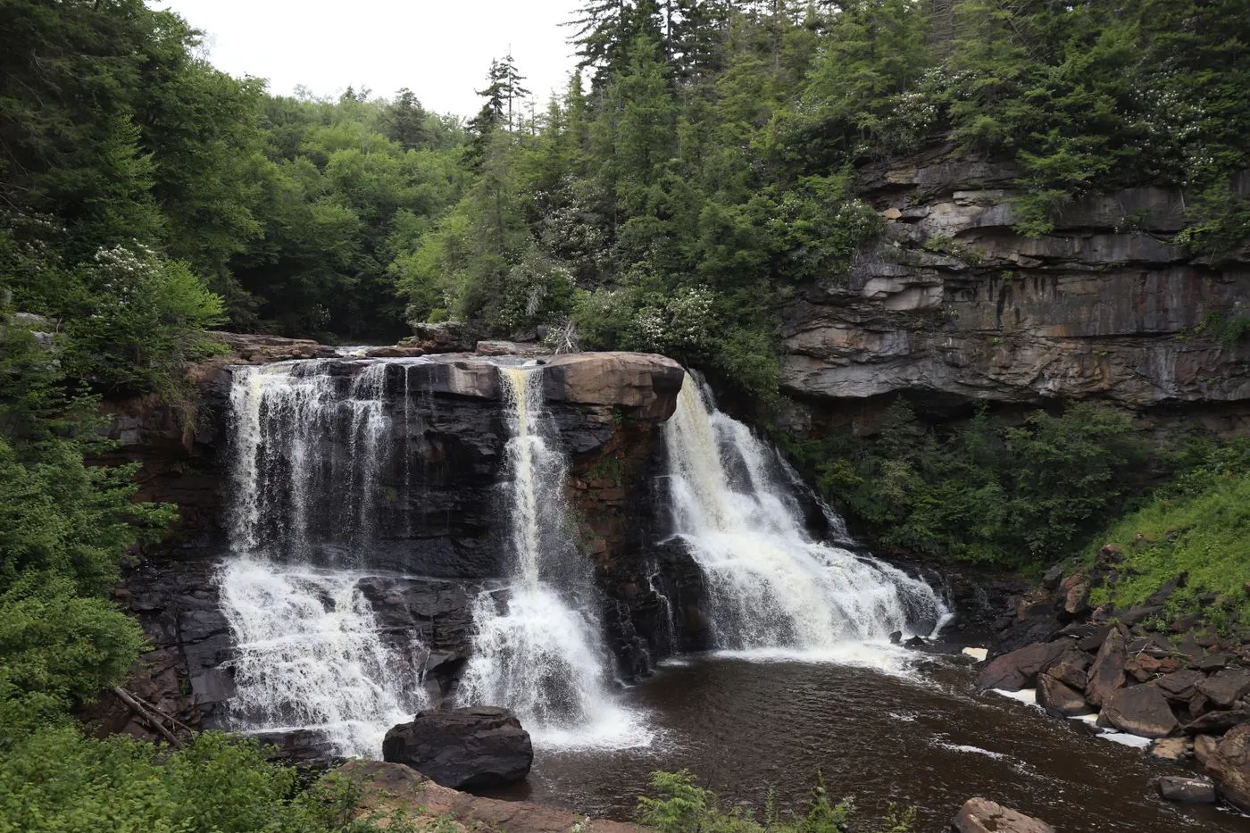 Blackwater Falls & Canaan Valley