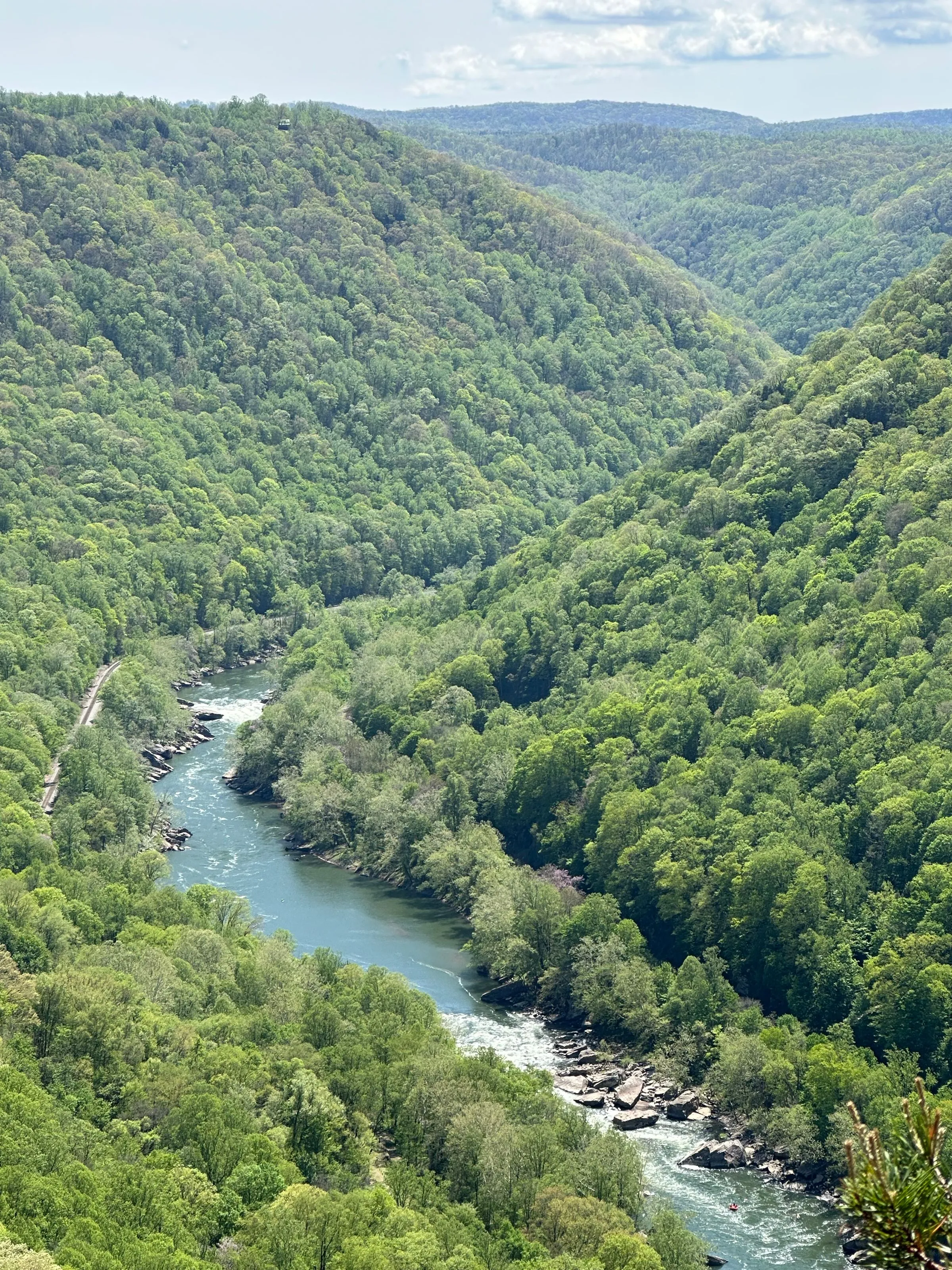 The forested New River Gorge canyon